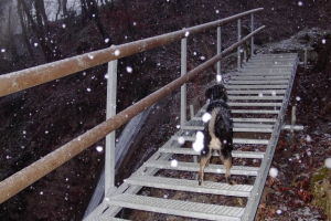 Gitterrosttreppe für Wanderweg neben Wasserfall